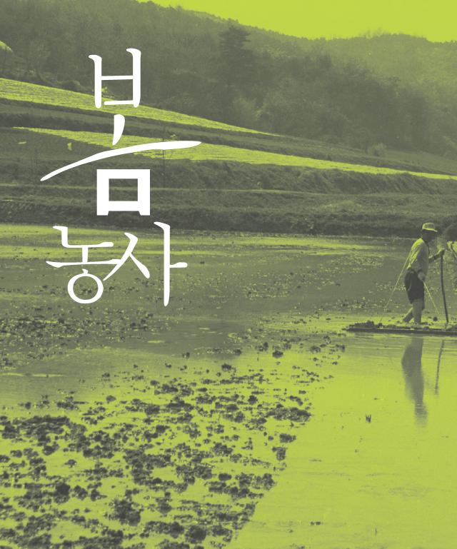 2021 역사로 보는 우리 농산물이야기4. 감 대표이미지