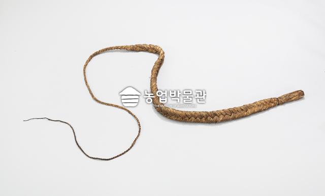 태 대표이미지